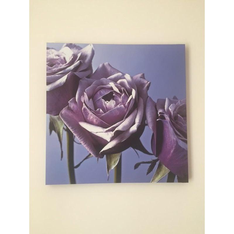 Rose canvas