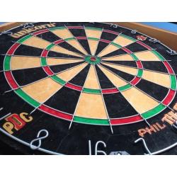 Dart board with darts