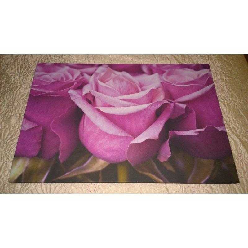 large purple flower picture for sale