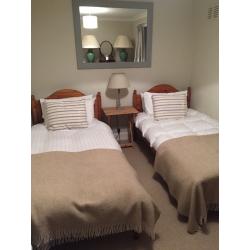 2 single pine beds including mattresses