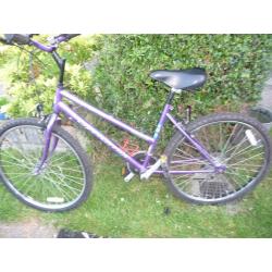 1 MENS 1 WOMANS MOUNTAIN BIKES,+ TWO FREE KIDS BIKES