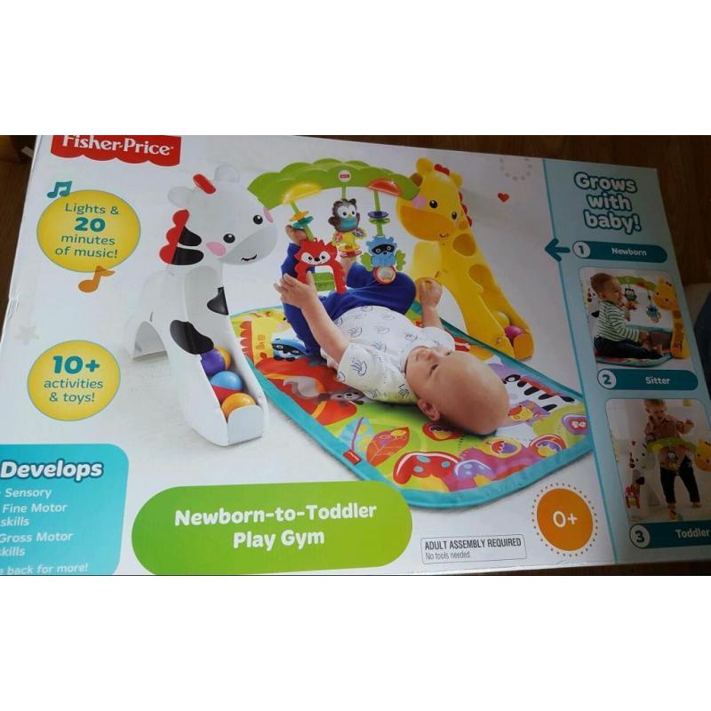 Fisher price newborn to toddler gym