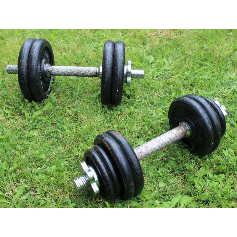 SOLD Assorted collection of weights & dumb bells, all used, various condition