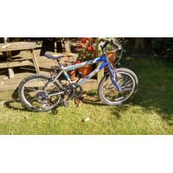 Blue kids Universal Mountain Bike with 20 inch wheels