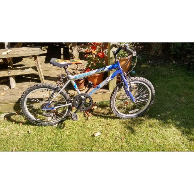 Blue kids Universal Mountain Bike with 20 inch wheels