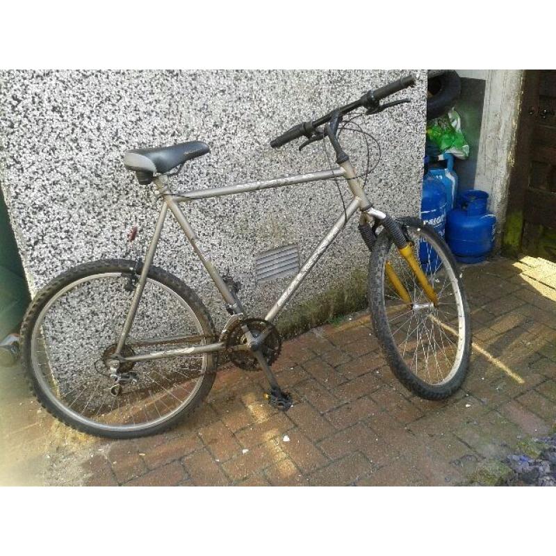 Gents Raleigh mountain bike