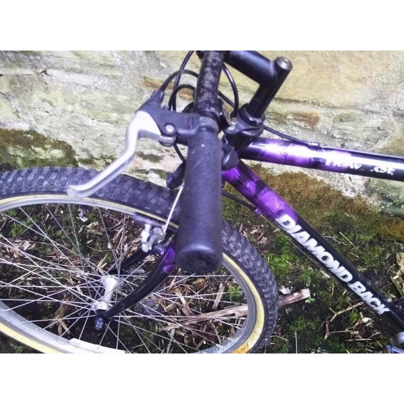 Diamond Back mountain bike - light frame