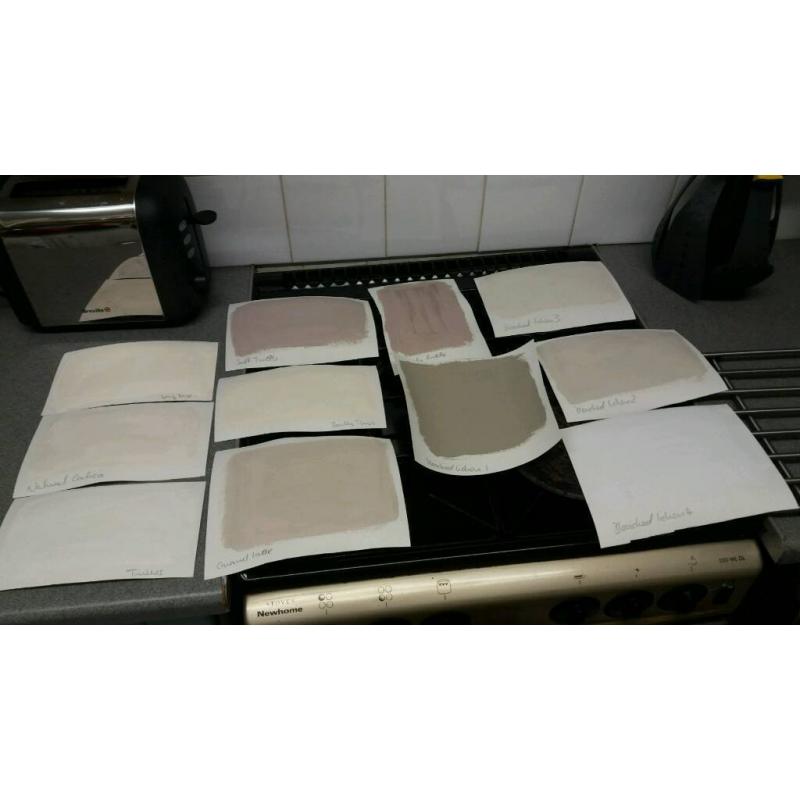 11 Dulux paint samples