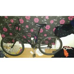 Used cycle for sale